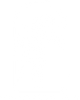 Purpose Under Palms