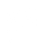 Purpose Under Palms