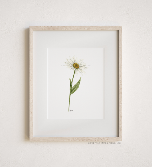 april birth flower | daisy art print