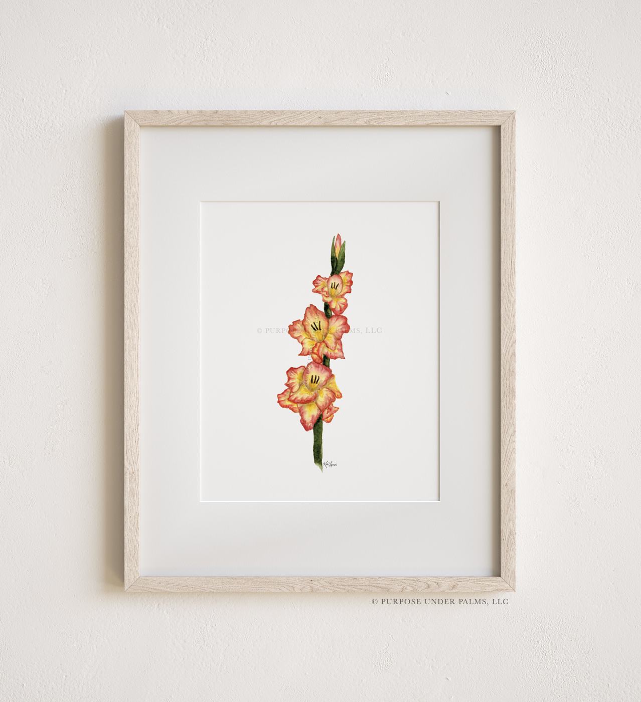 August Birth Flower | Gladiolus Art Print