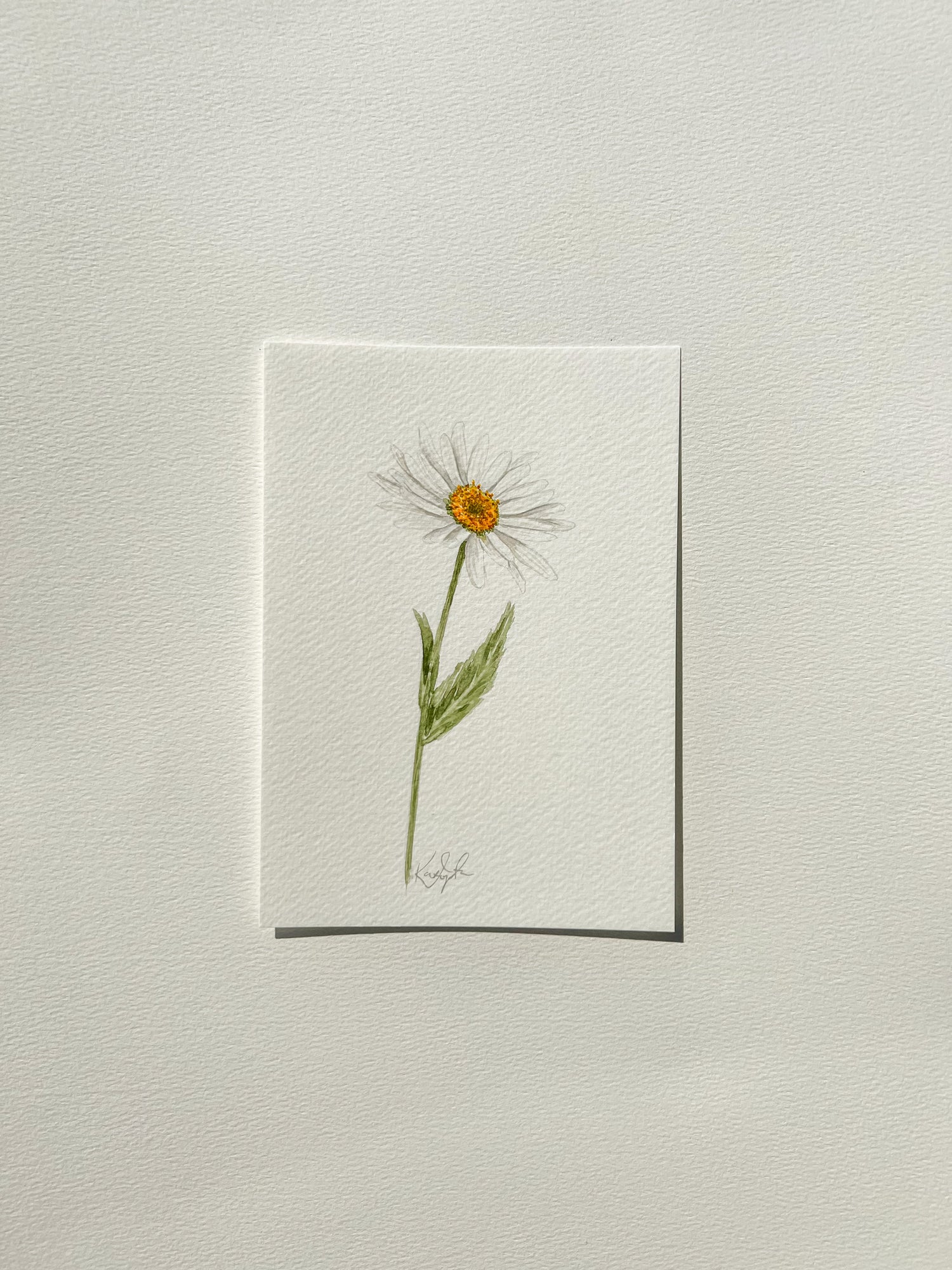 April Birth Flower | Daisy Original Painting