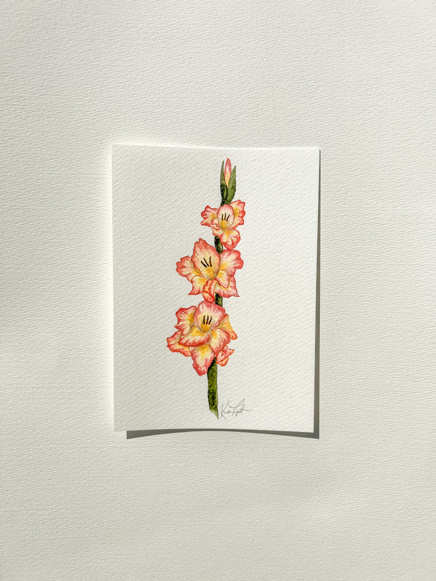 August Birth Flower | Gladiolus Original Painting
