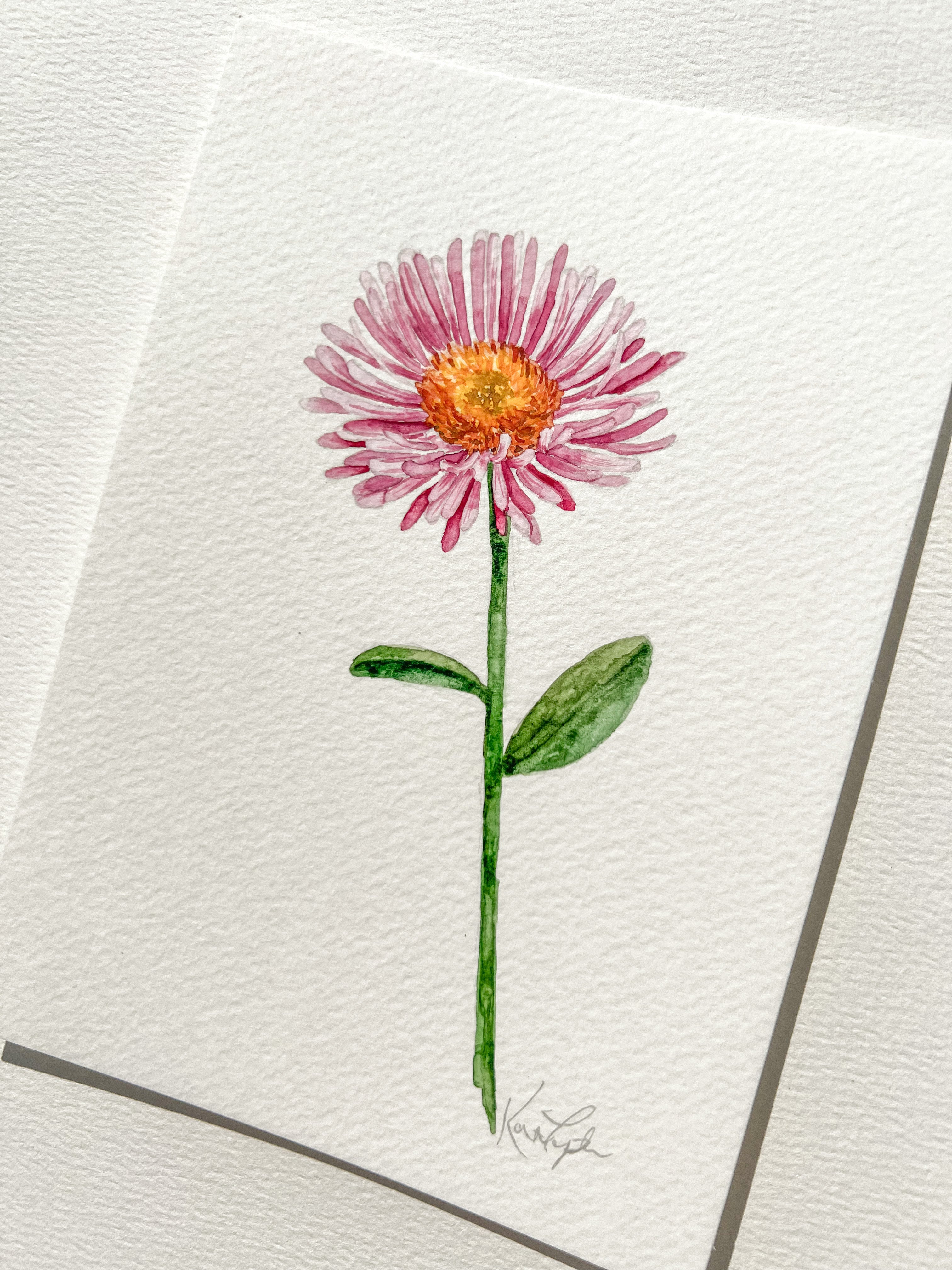 September Birth Flower | Aster Original Painting