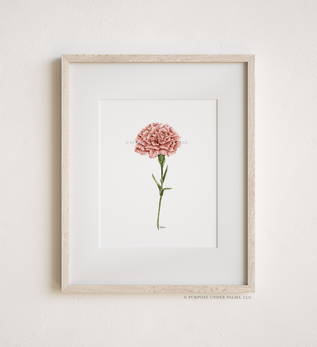 January Birth Flower Carnation