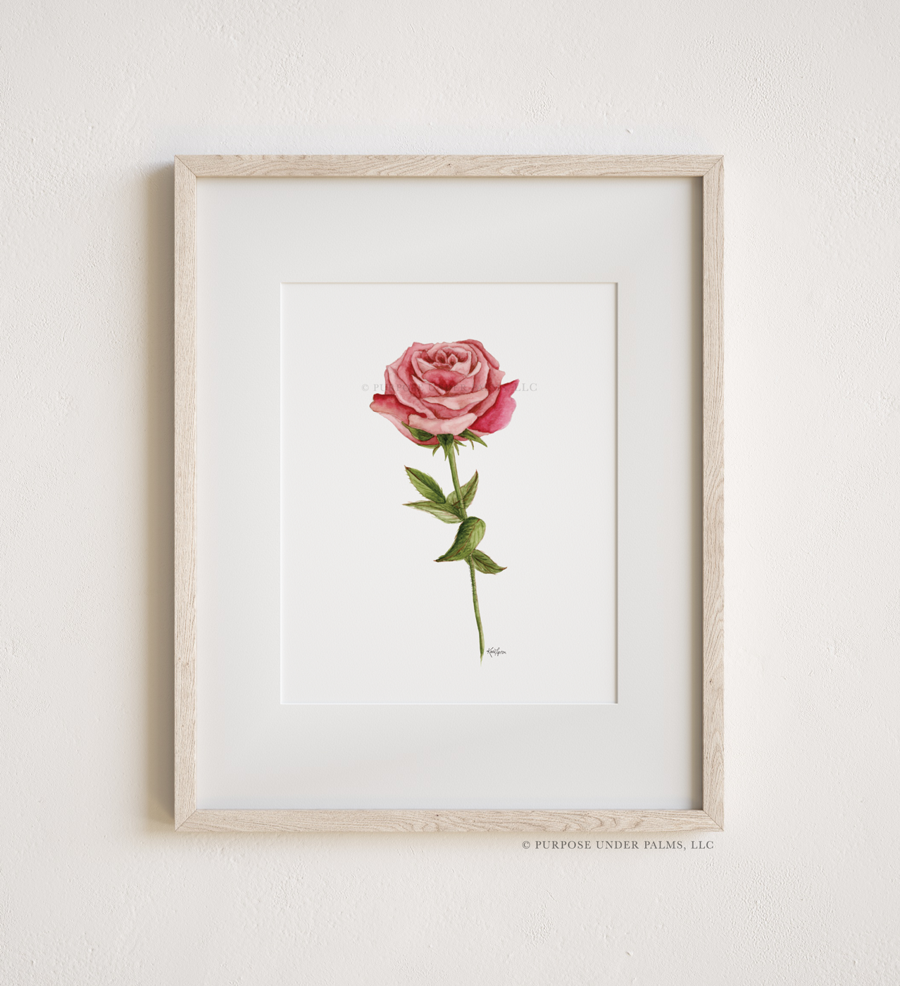 June Birth Flower | Rose Art Print