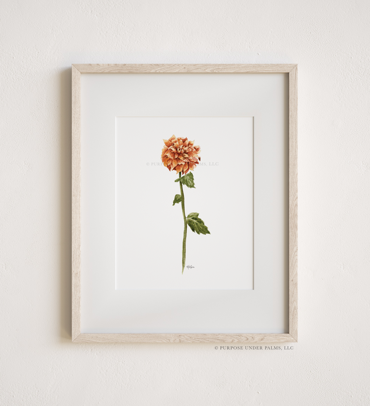 November Birth Flower | Crysanthemum Art Print