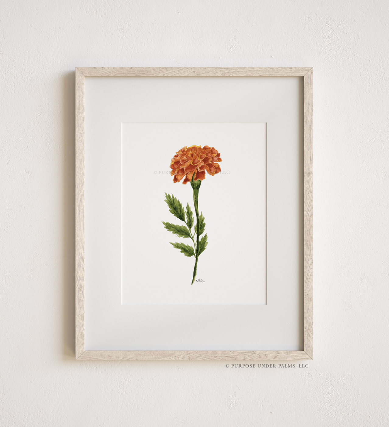 October Birth Flower | Marigold Art Print