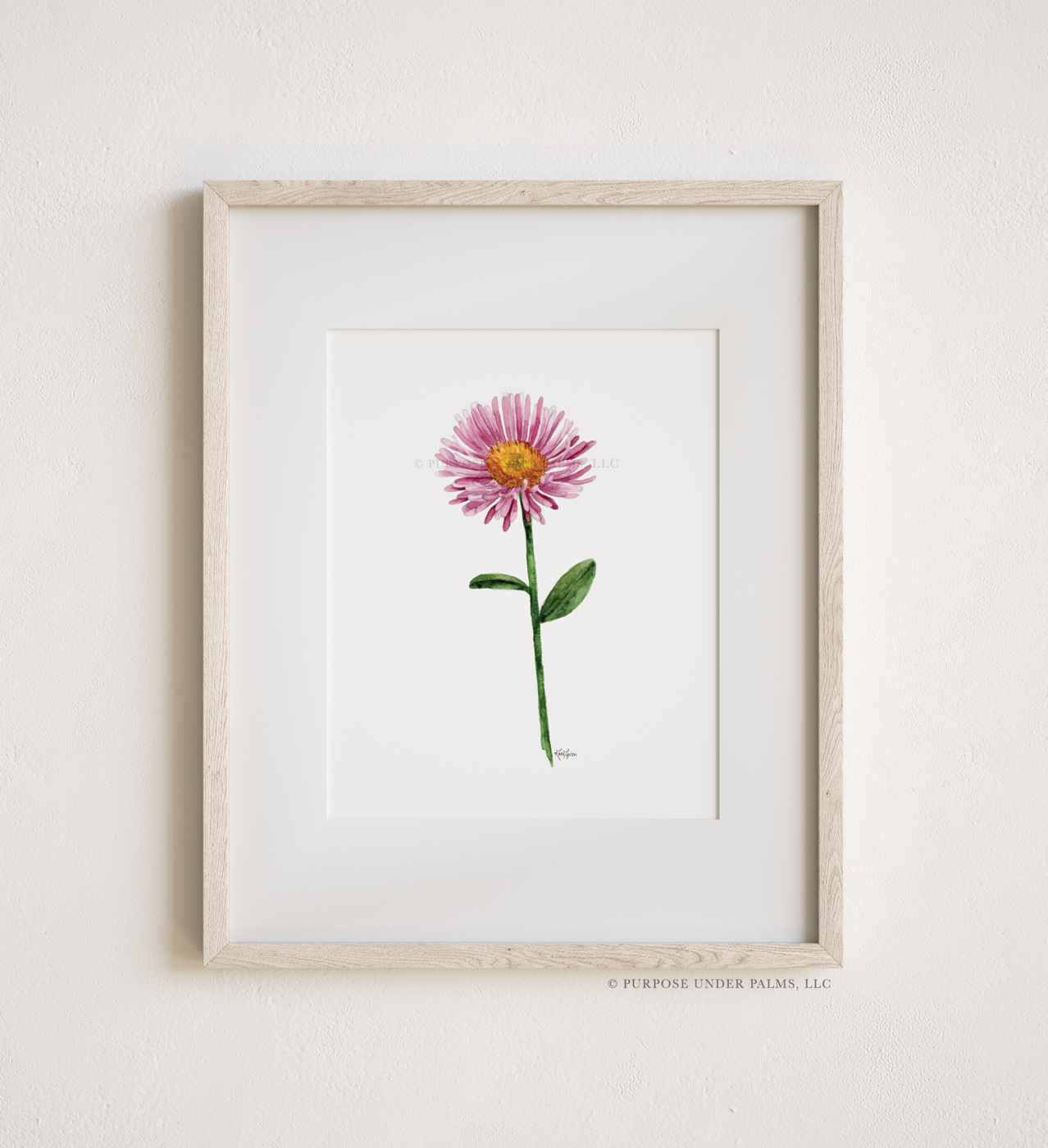 September Birth Flower | Aster Art Print