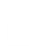 Purpose Under Palms