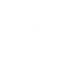 Purpose Under Palms
