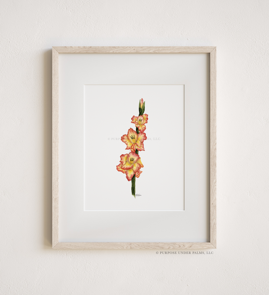 August Birth Flower | Gladiolus Art Print