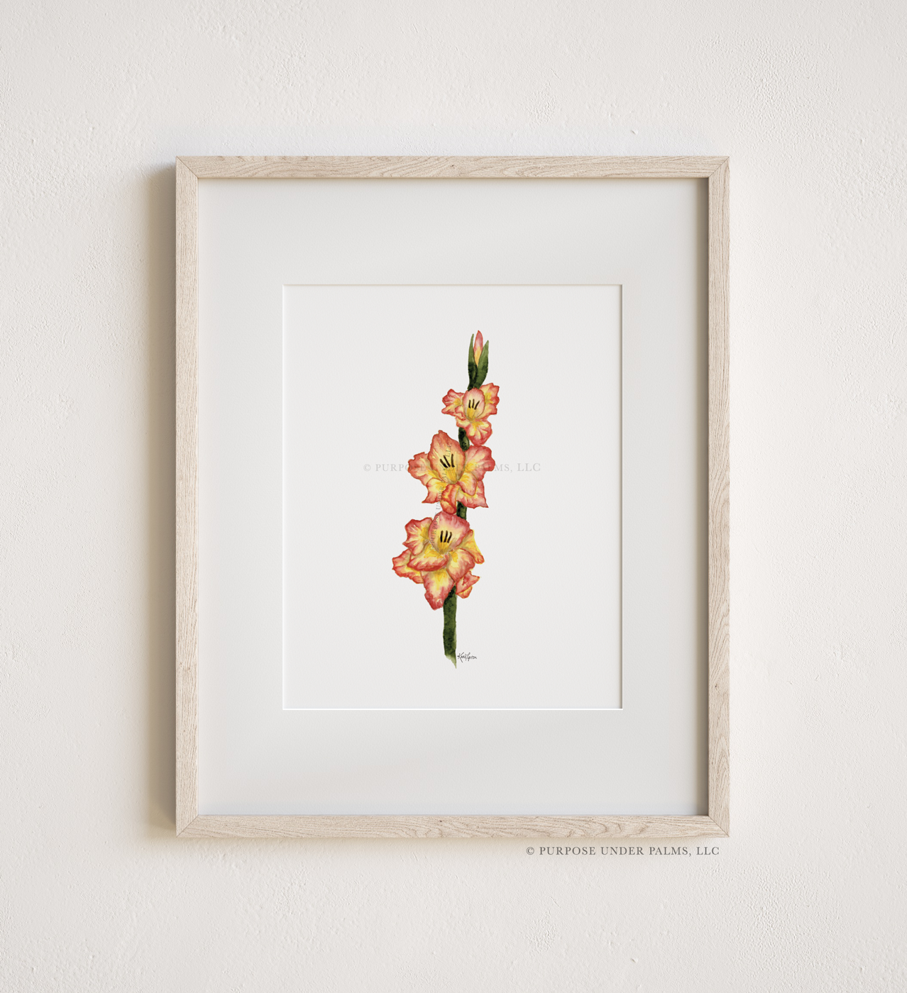 august birth flower | gladiolus art print