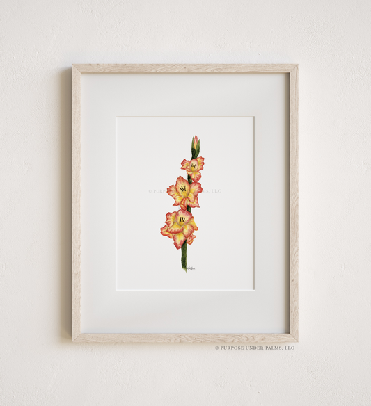 august birth flower | gladiolus art print
