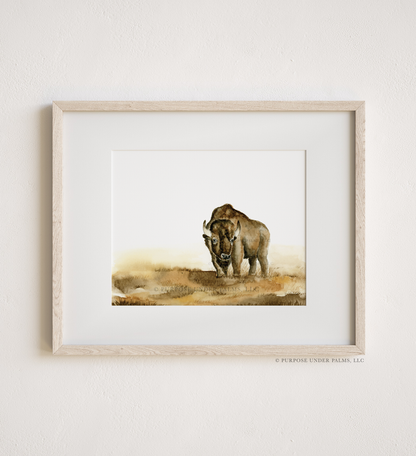 Bison Art Print
