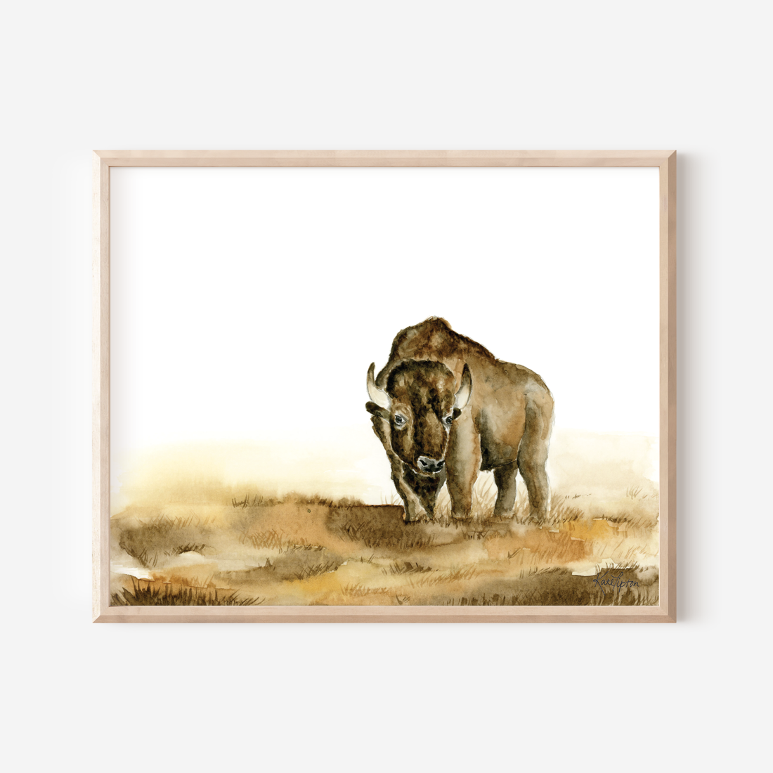 Bison Art Print