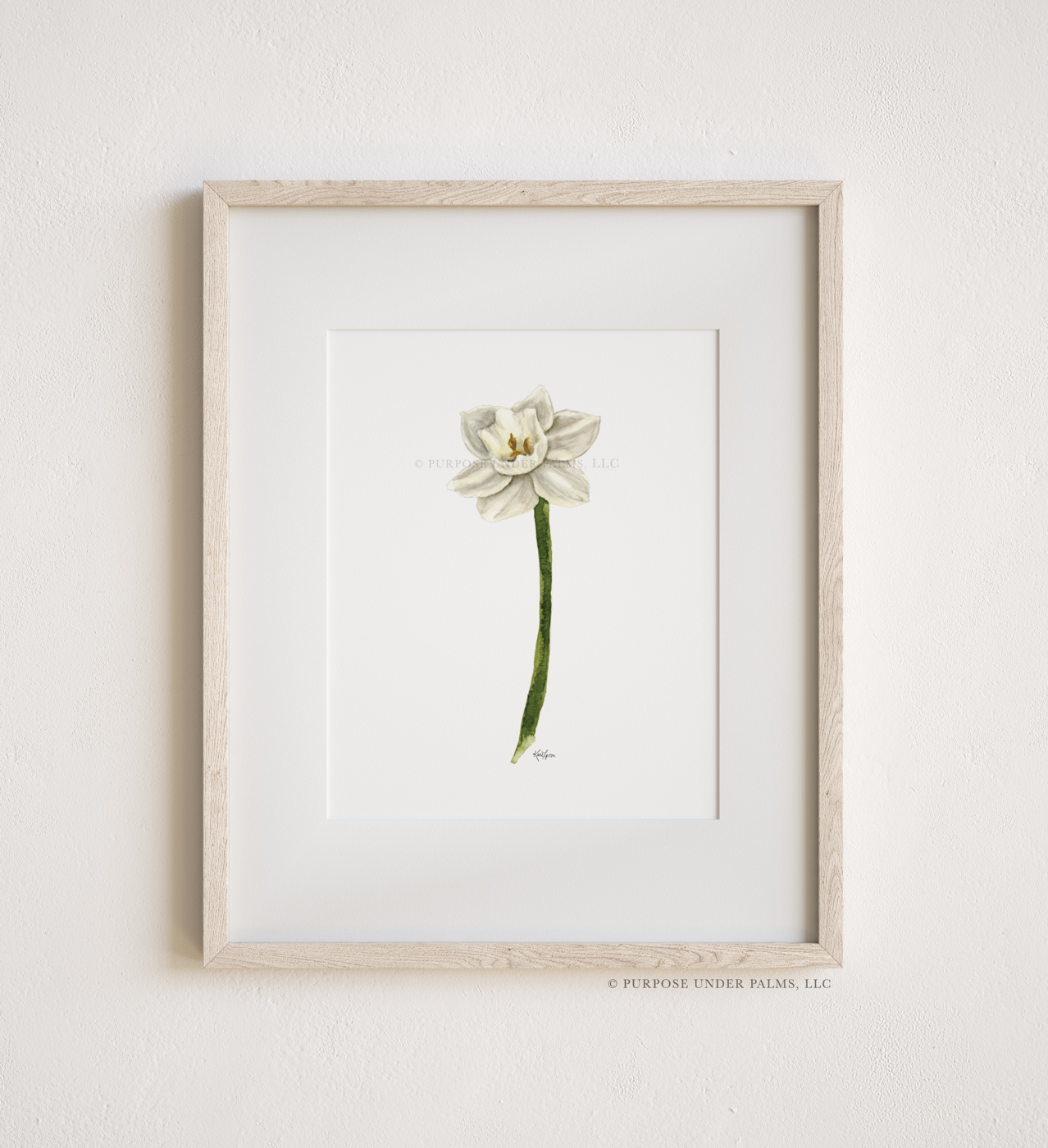 December Birth Flower | Narcissus Art Print