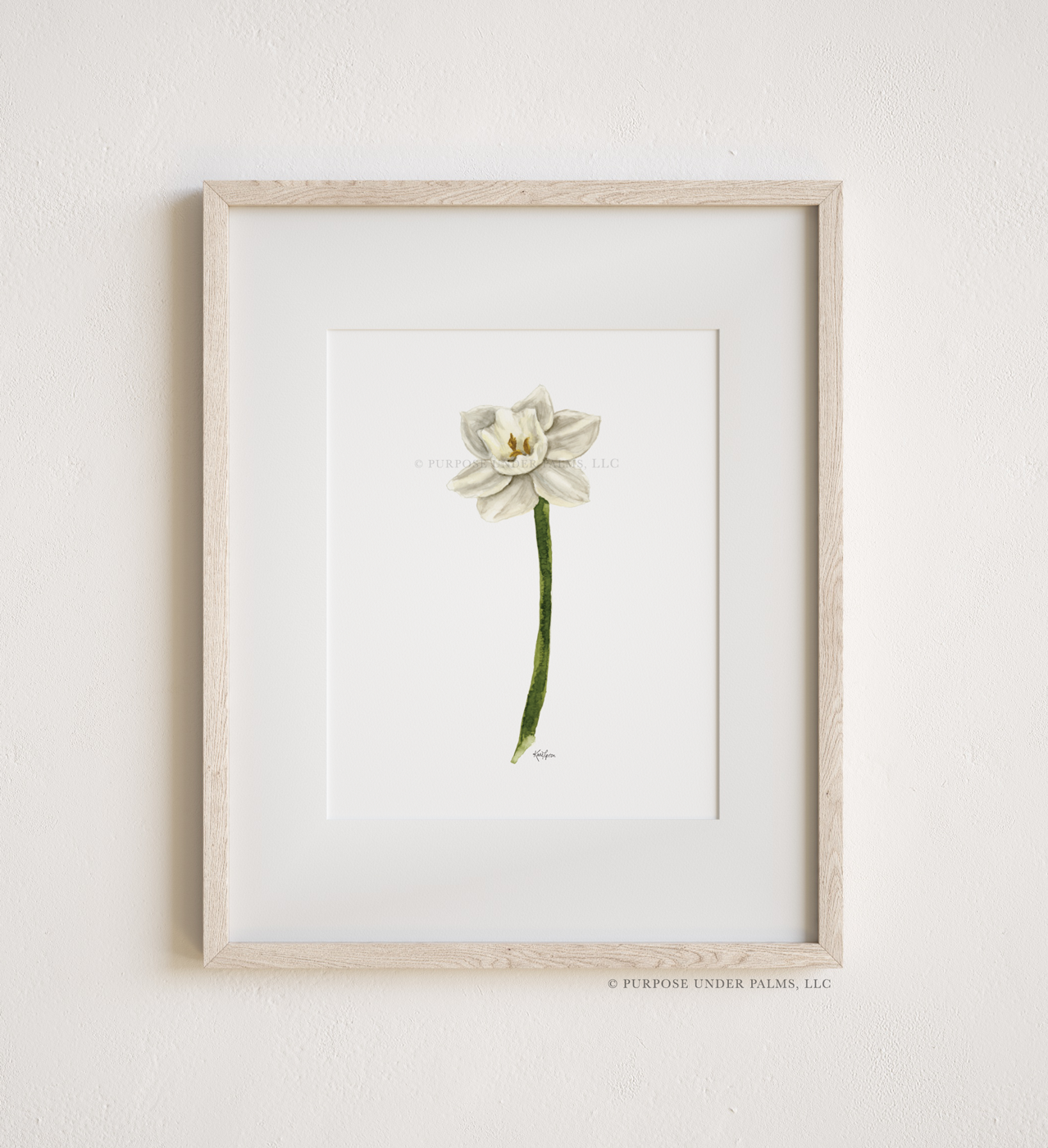 december birth flower | narcissus art print