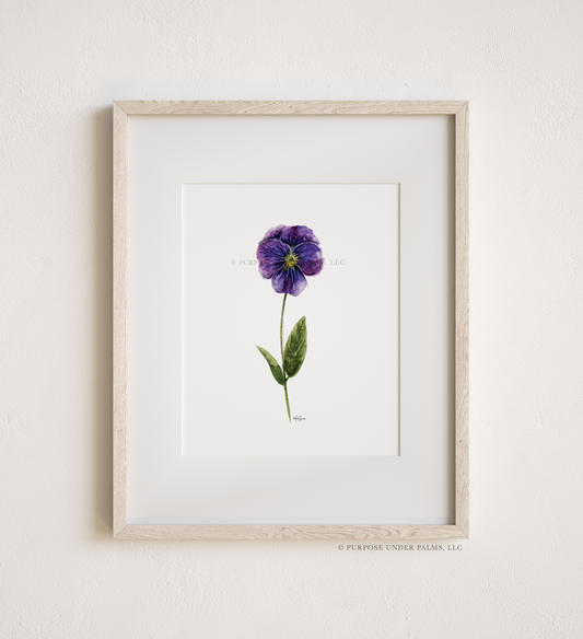 february birth flower | violet art print
