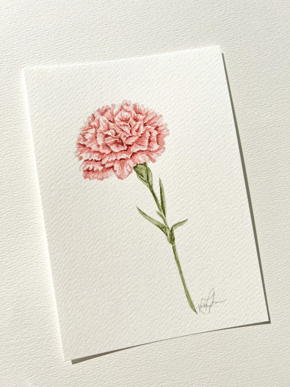 January Birth Flower | Carnation Original Painting