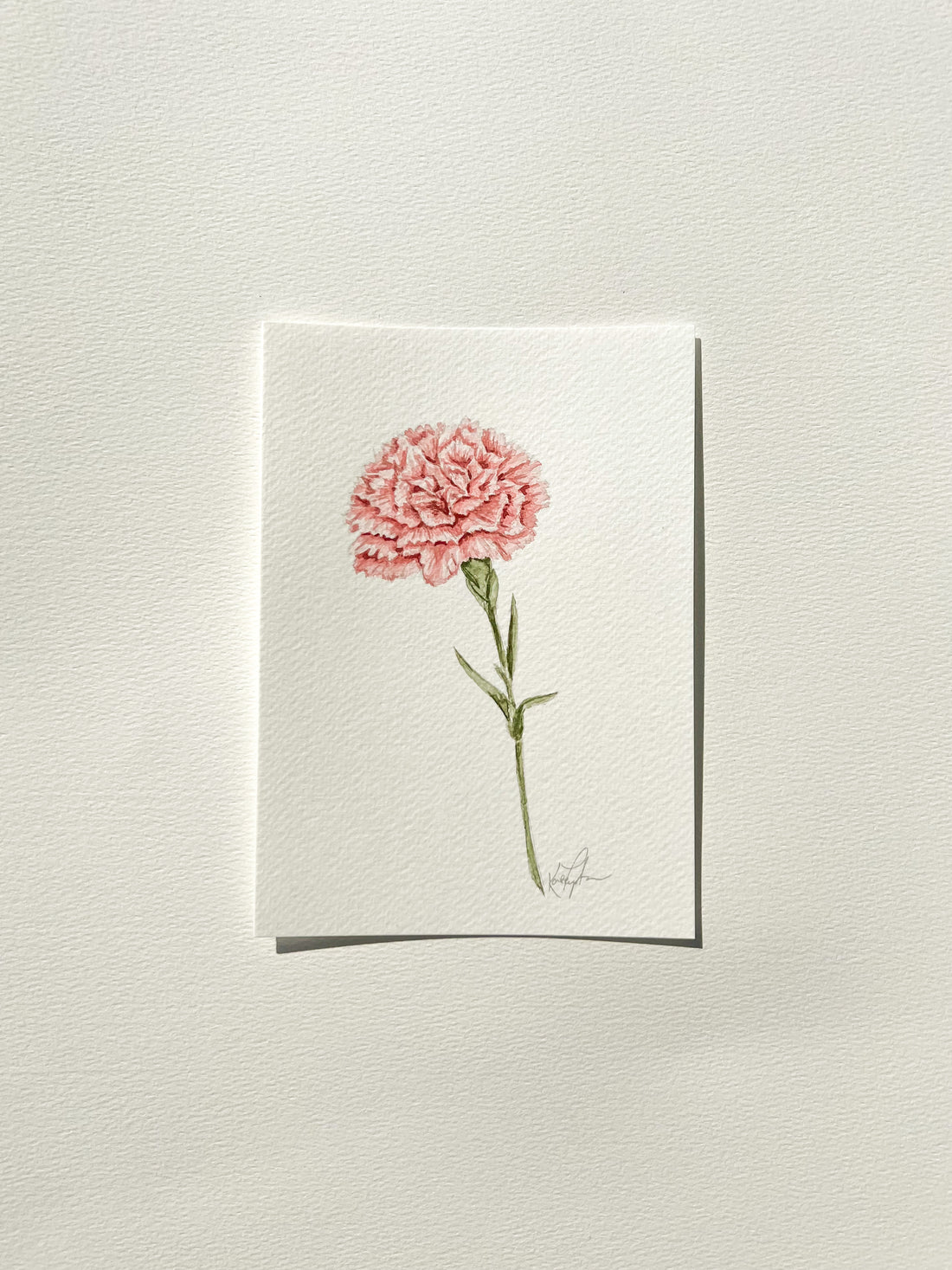 January Birth Flower | Carnation Original Painting