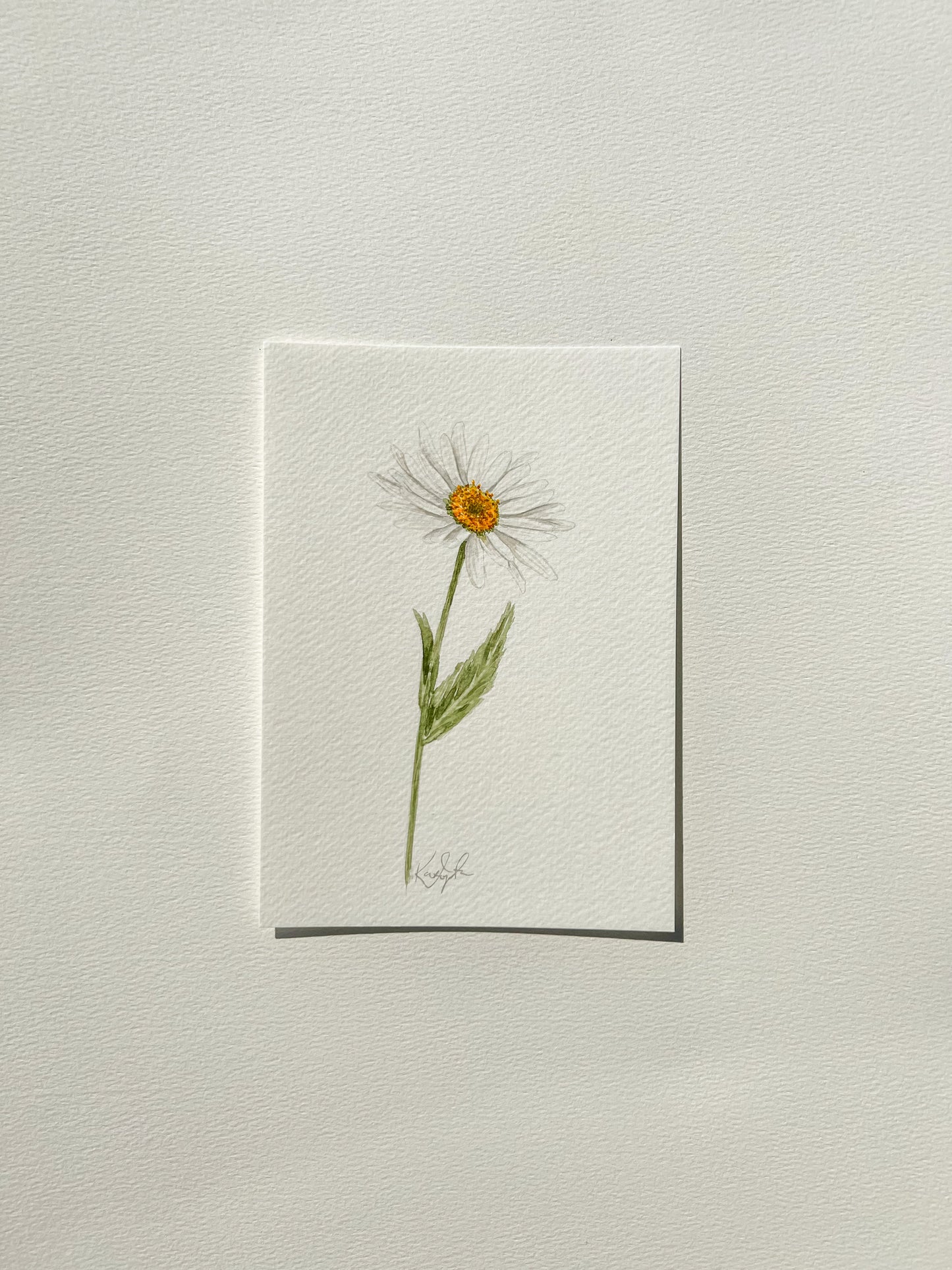 april birth flower | daisy original painting