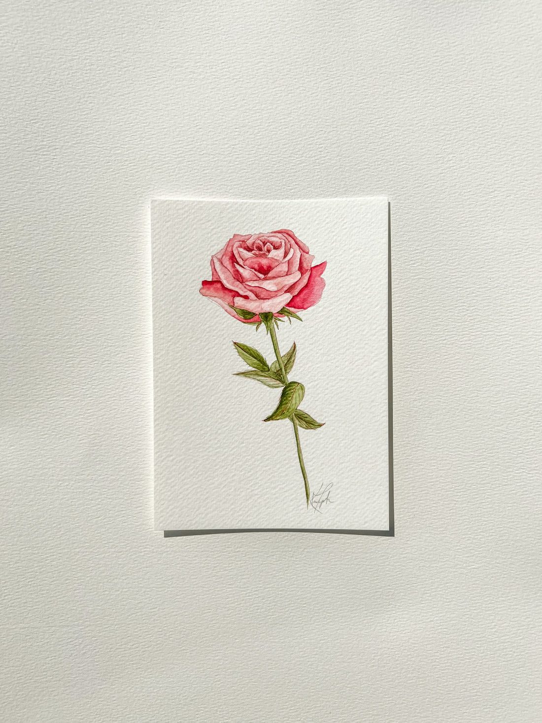 June Birth Flower | Rose Original Painting
