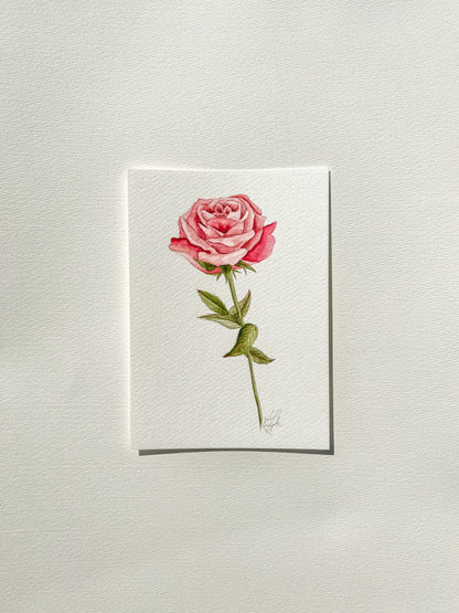June Birth Flower | Rose Original Painting
