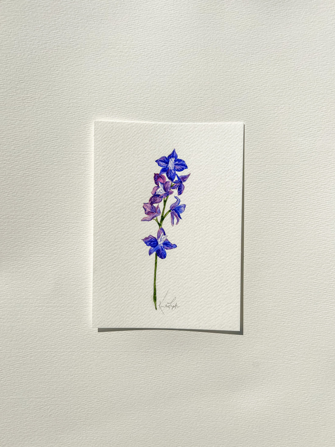 July Birth Flower | Larkspur Original Painting