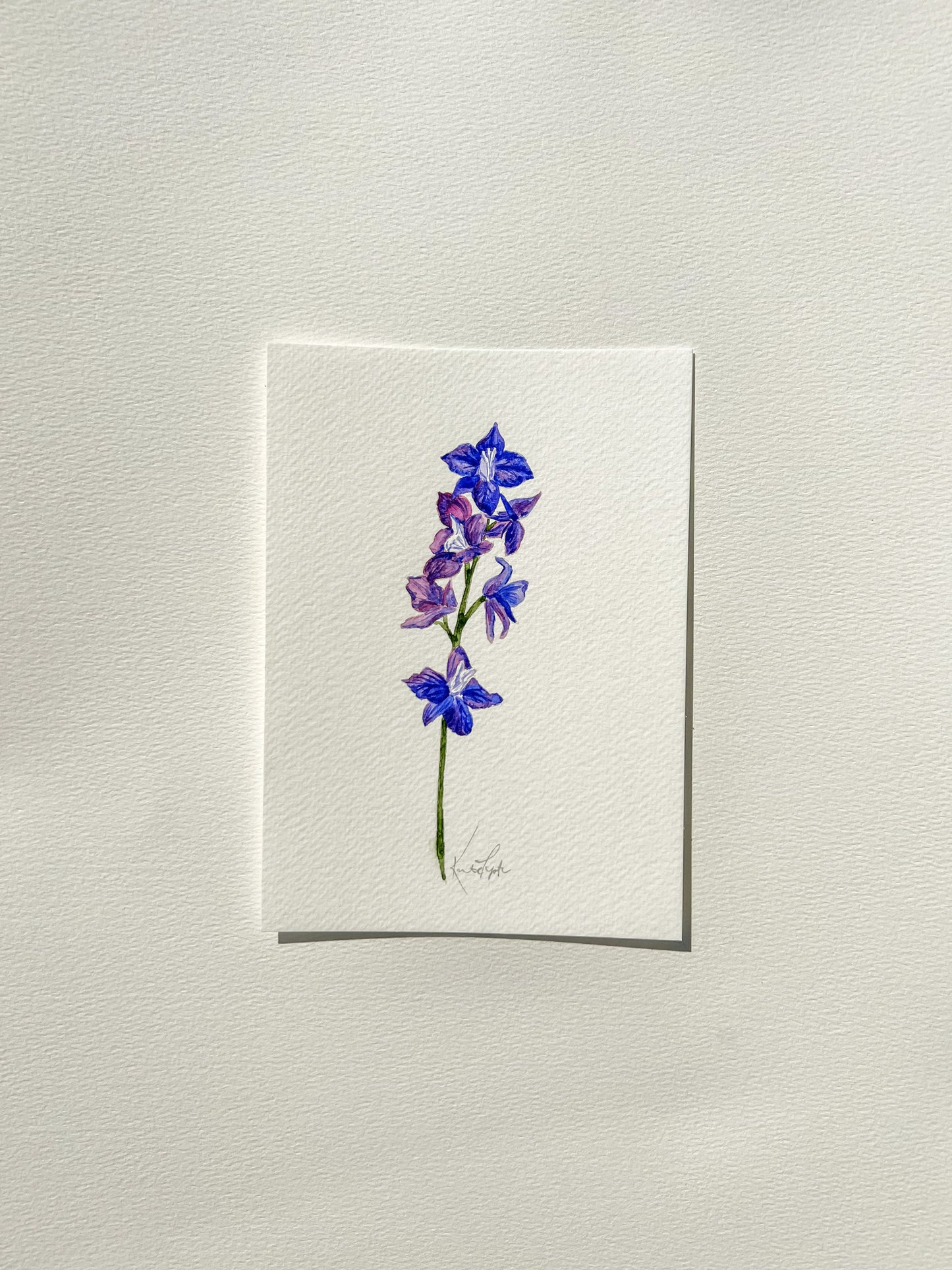 july birth flower | larkspur original painting
