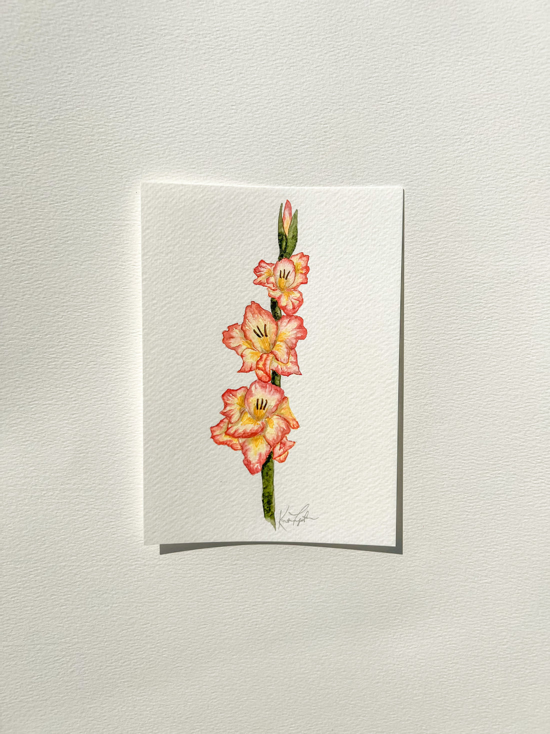 August Birth Flower | Gladiolus Original Painting