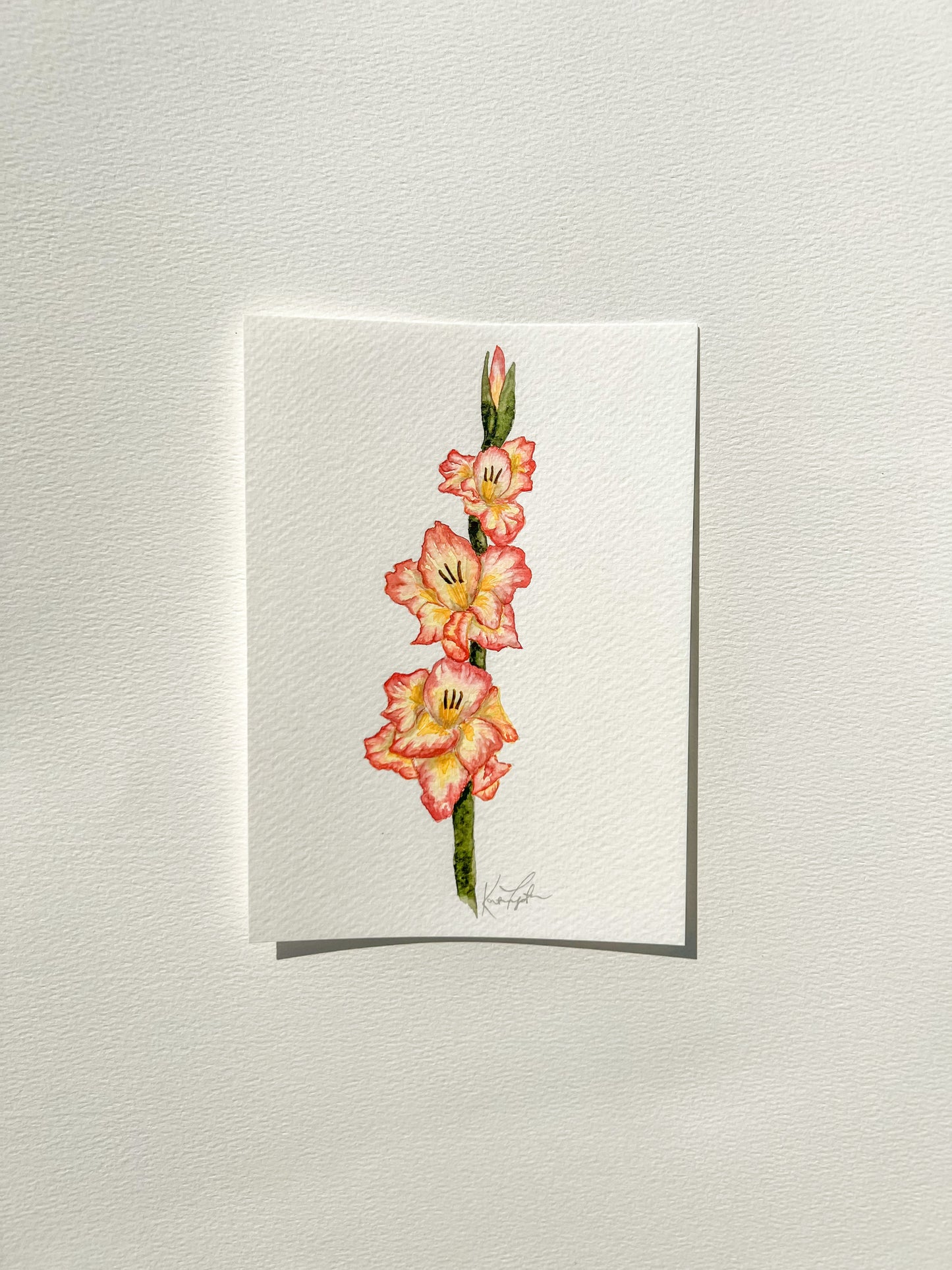 august birth flower | gladiolus original painting