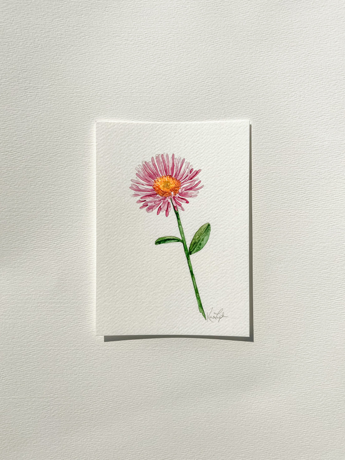 September Birth Flower | Aster Original Painting