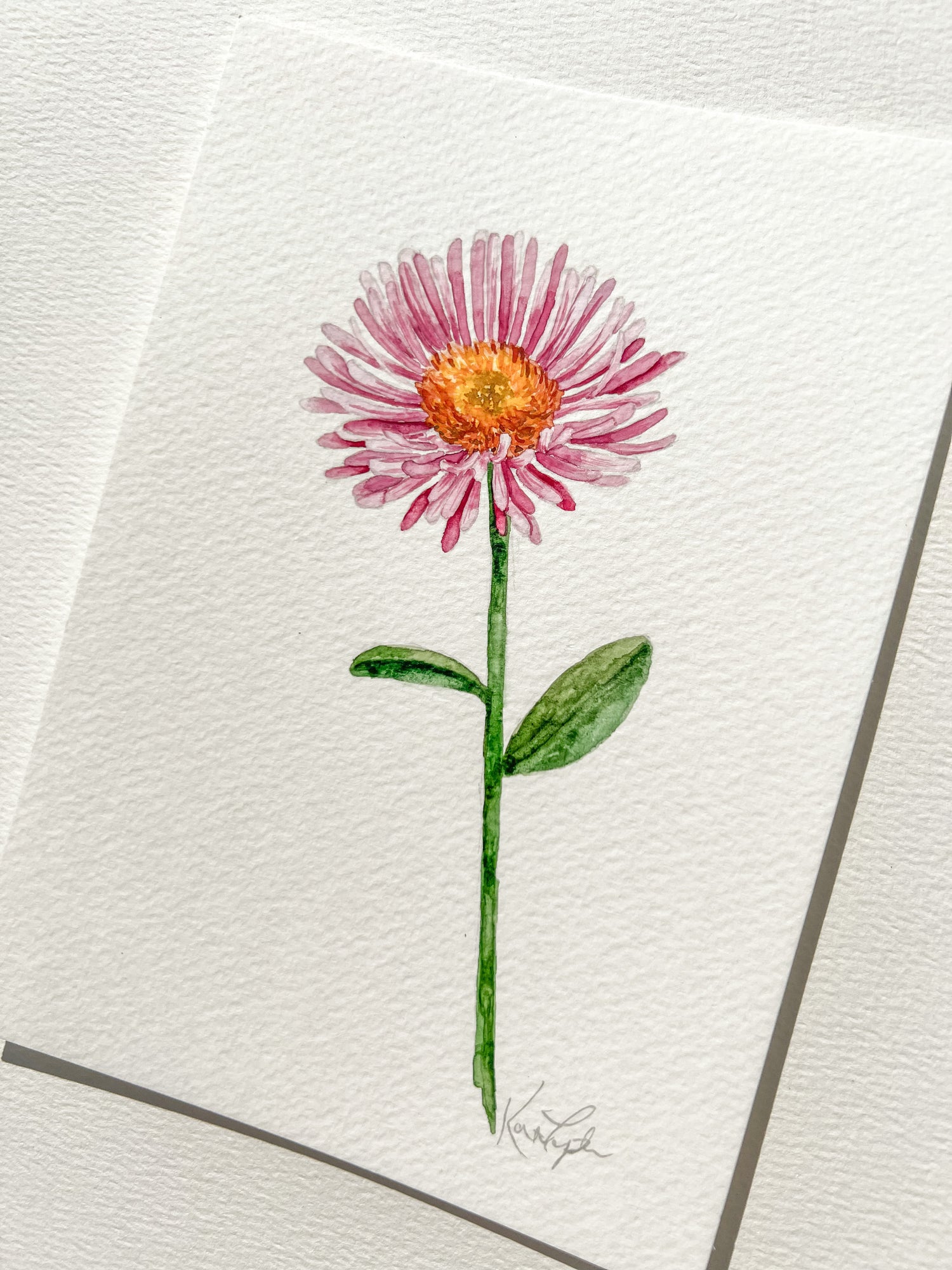 September Birth Flower | Aster Original Painting