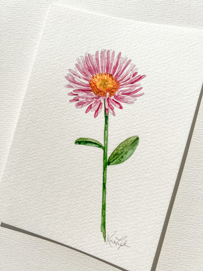 September Birth Flower | Aster Original Painting