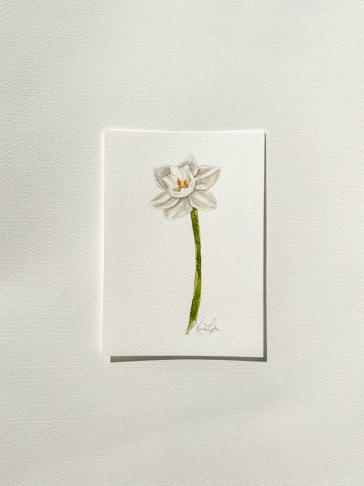 december birth flower | narcissus original painting
