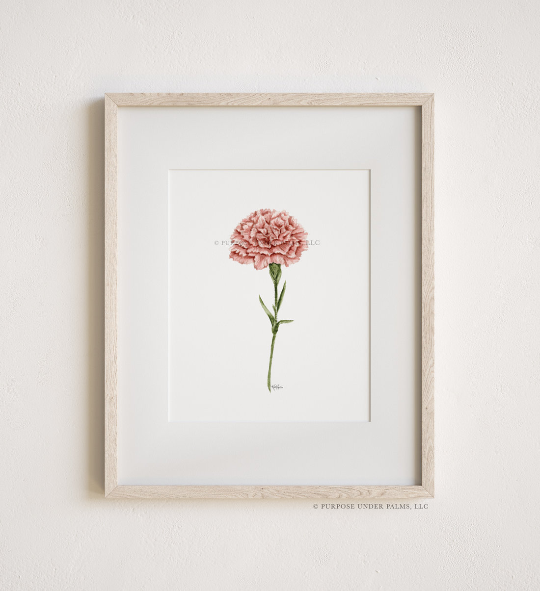 January Birth Flower | Carnation Art Print