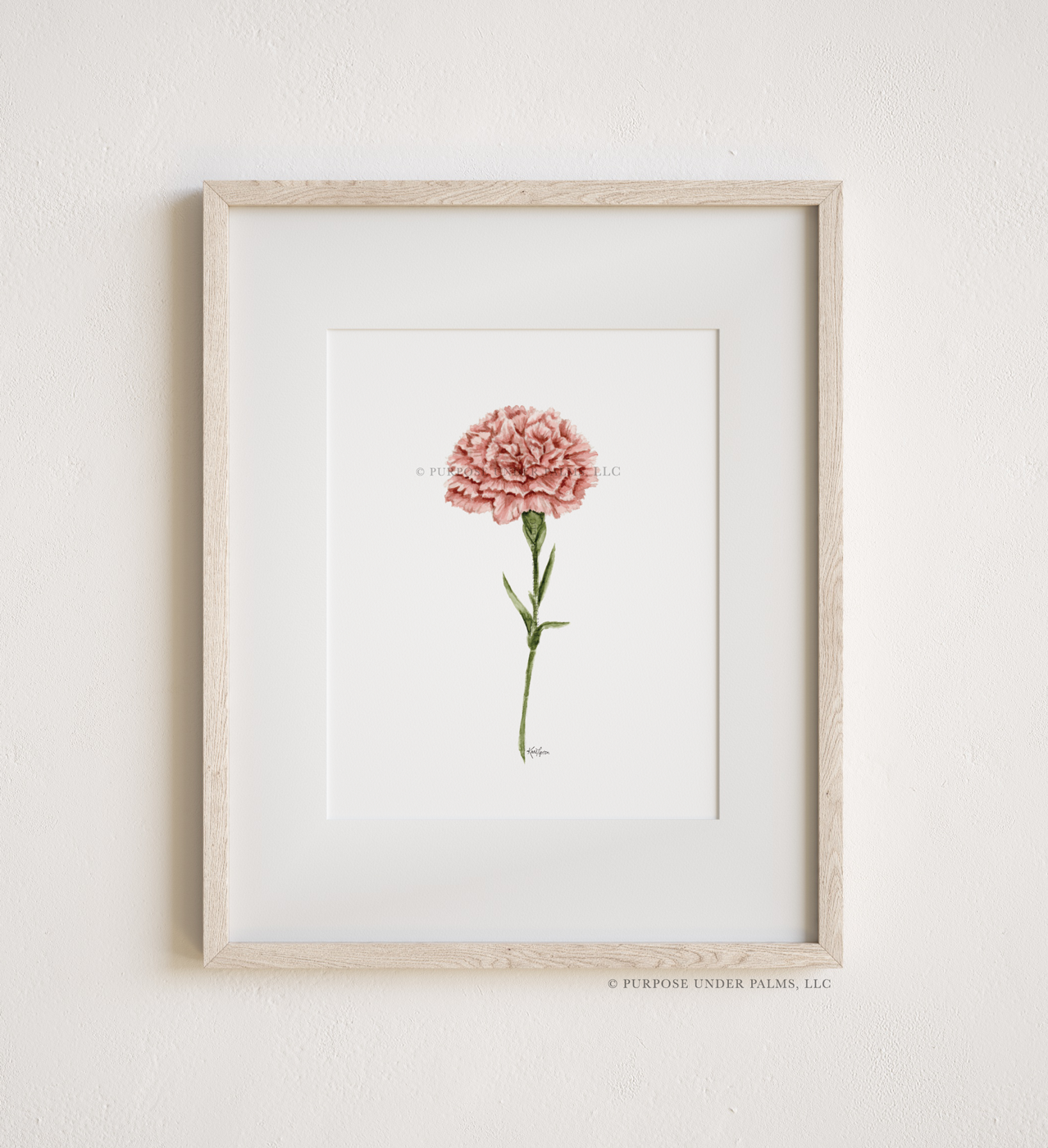 january birth flower | carnation art print