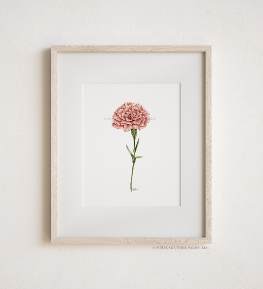january birth flower | carnation art print