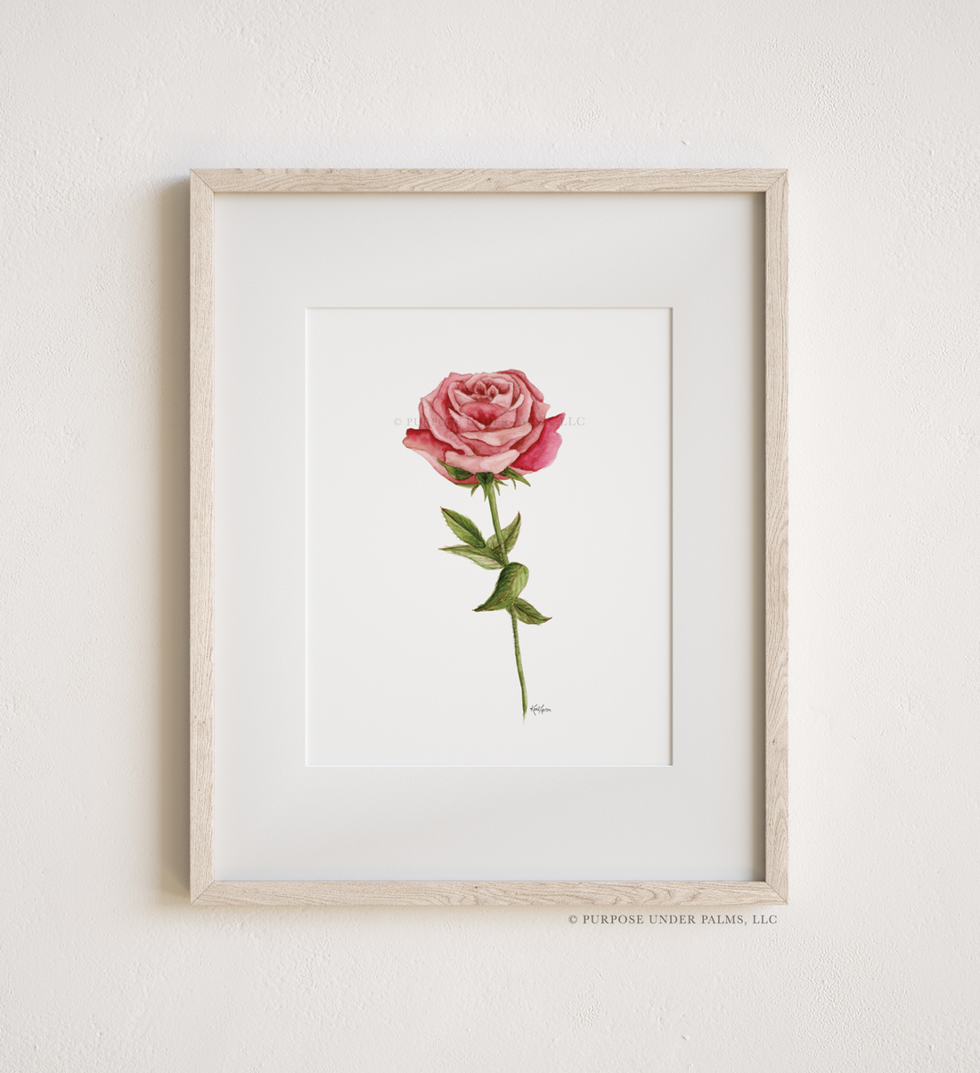 June Birth Flower | Rose Art Print