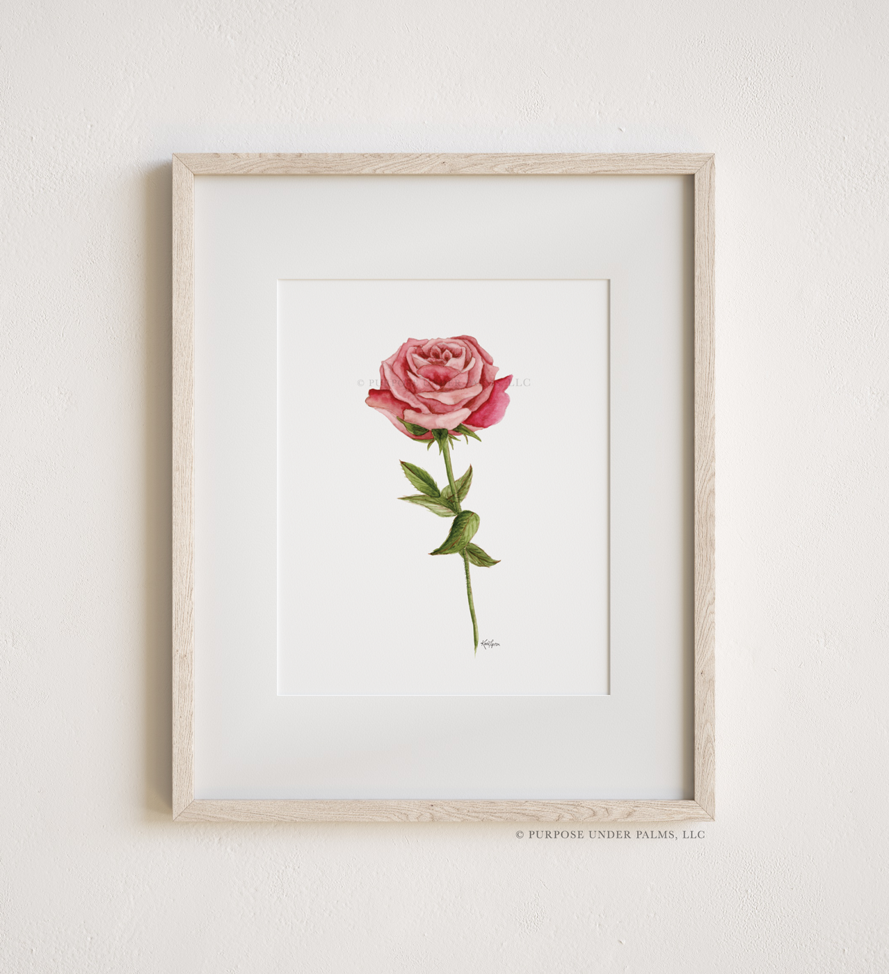 june birth flower | rose art print