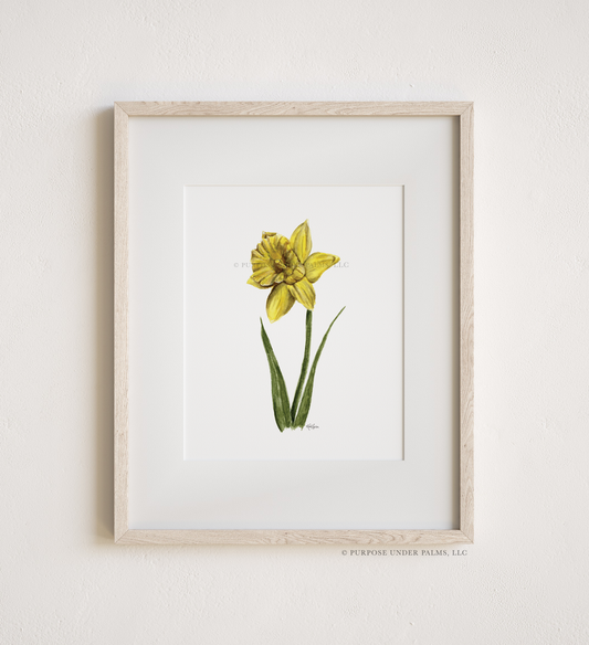 march birth flower | daffodil art print