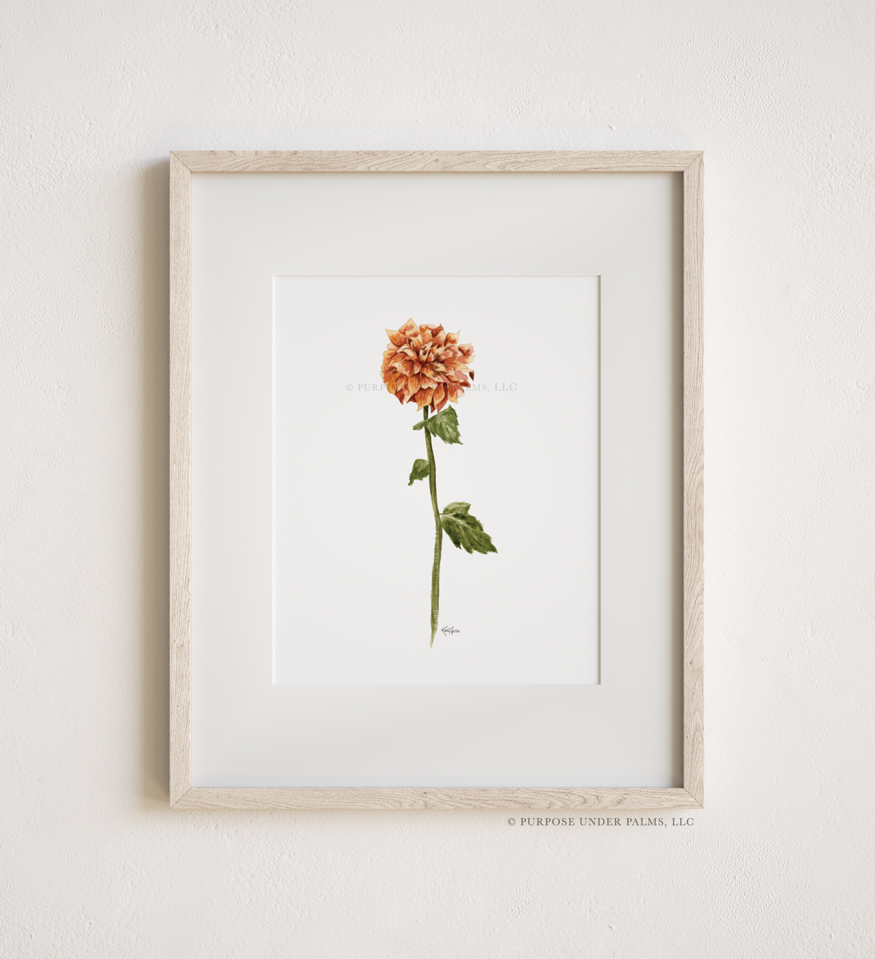 november birth flower | crysanthemum art print