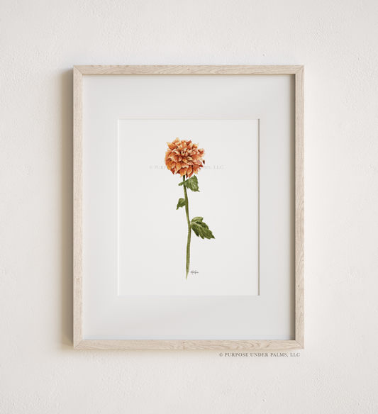 november birth flower | crysanthemum art print