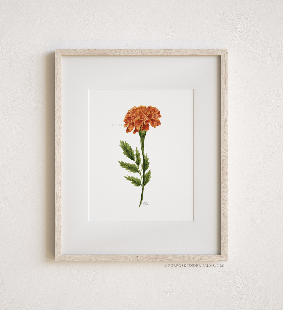 October Birth Flower | Marigold Art Print
