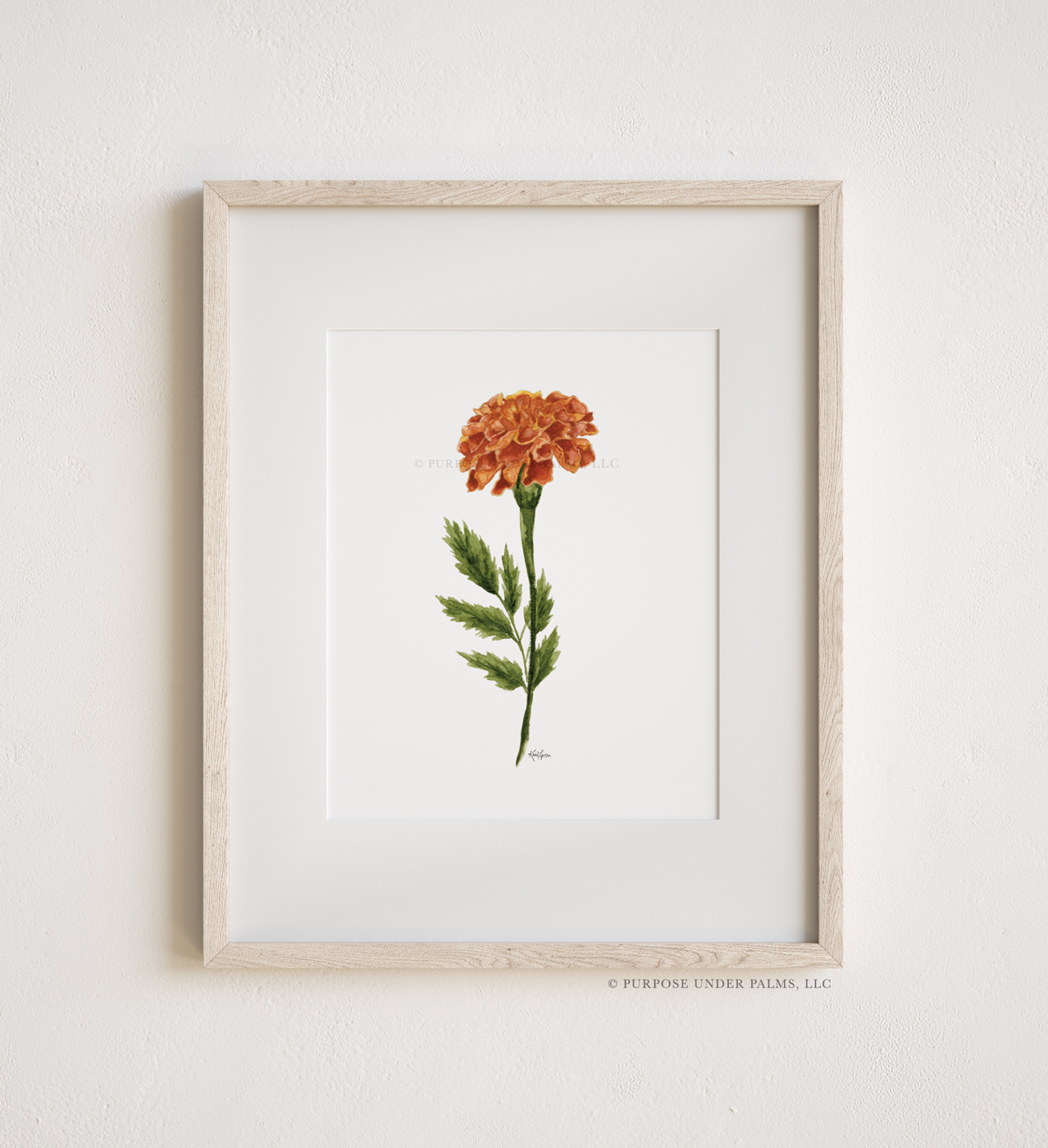 october birth flower | marigold art print