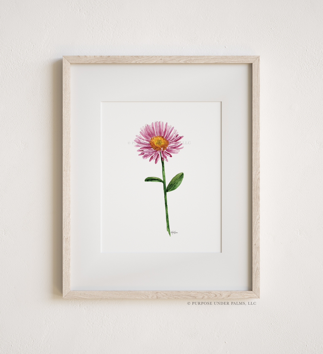 September Birth Flower | Aster Art Print