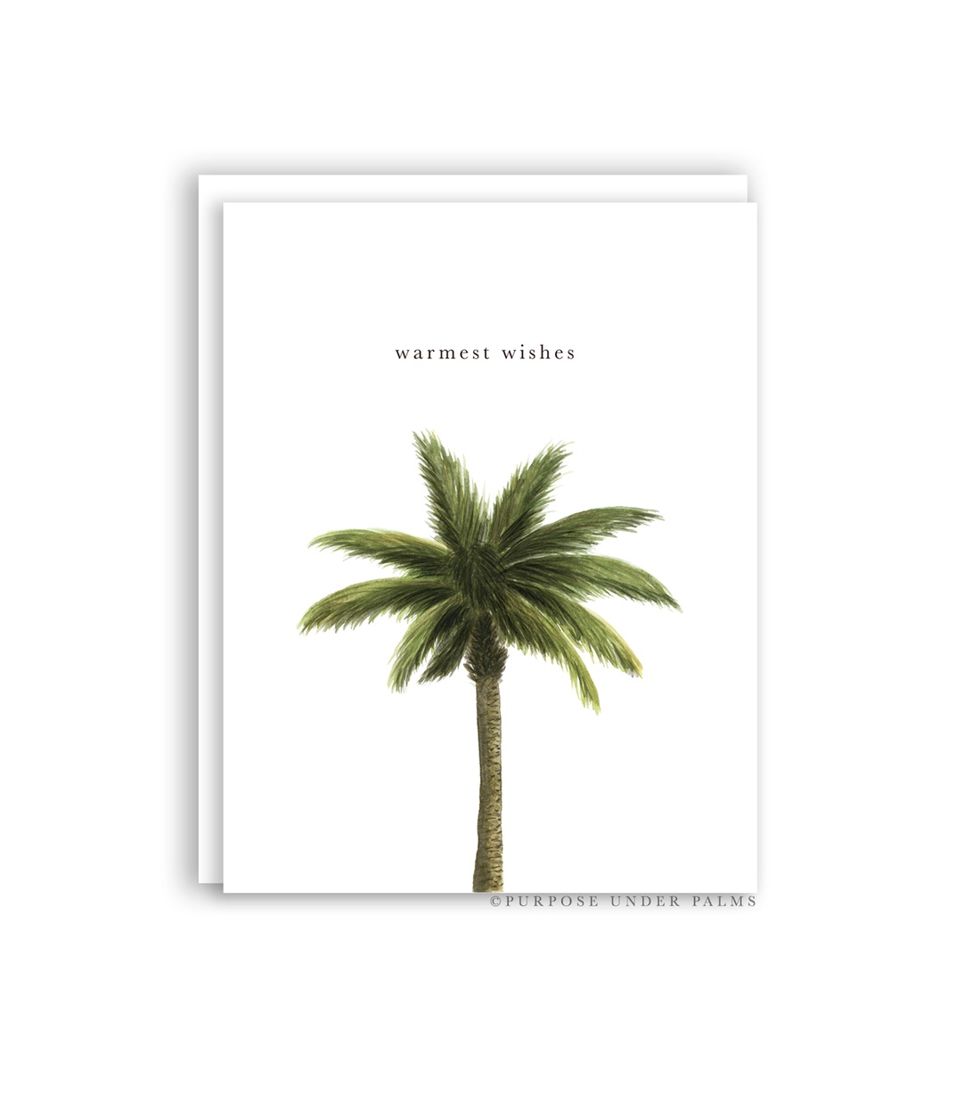 Warmest Wishes Palm Tree Greeting Card
